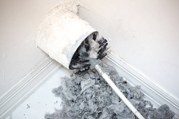 Best Air Duct Cleaning Near Me  in Orland, CA